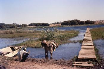 Kware Lake, 1970s Sokoto Seventies Diary Sokoto Days
