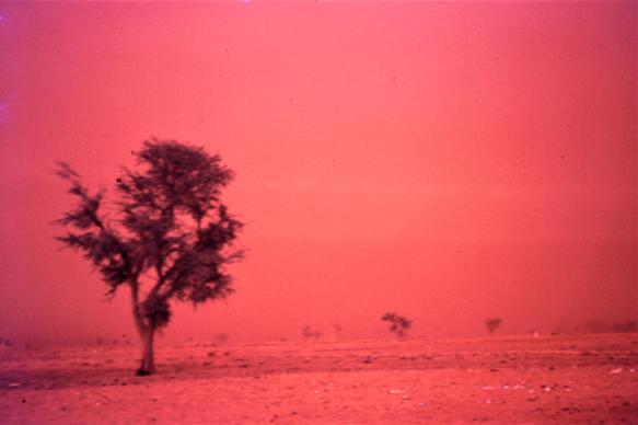 Haboob or dust storm, Sokoto