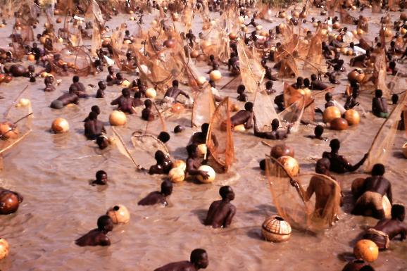 Argungu fishing festival 3 March 1979 Sokoto