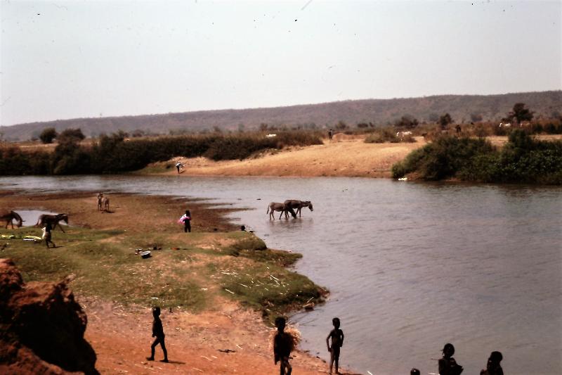 River floodplain, Sokoto State 1979